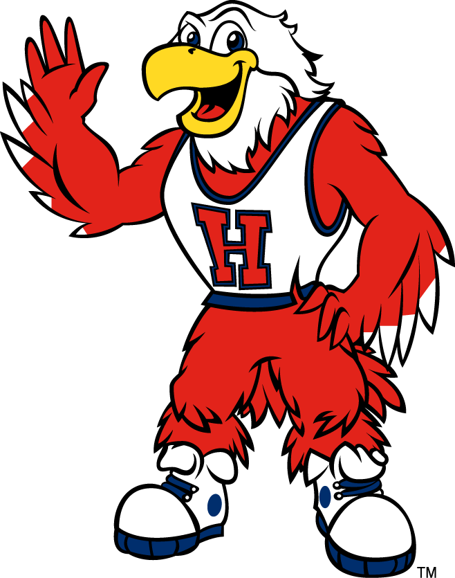 Hartford Hawks 1995-Pres Mascot Logo diy iron on heat transfer